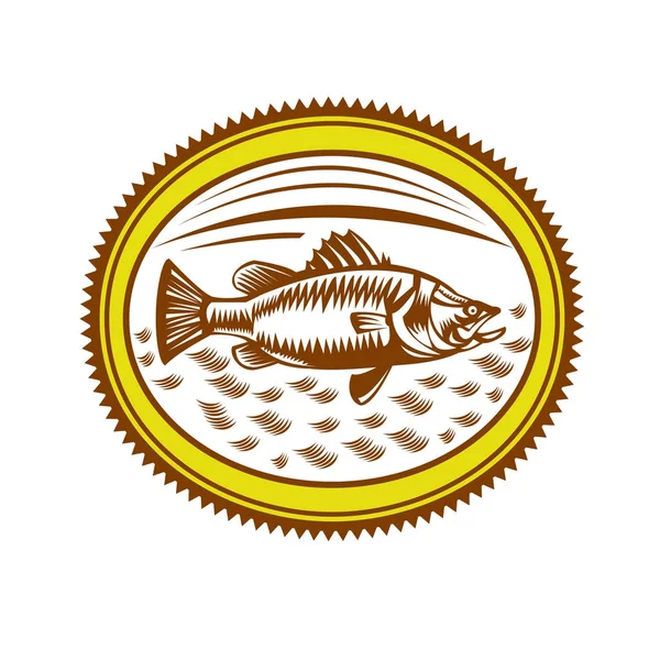 Saltwater Barramundi Rosette Woodcut — Stock Vector