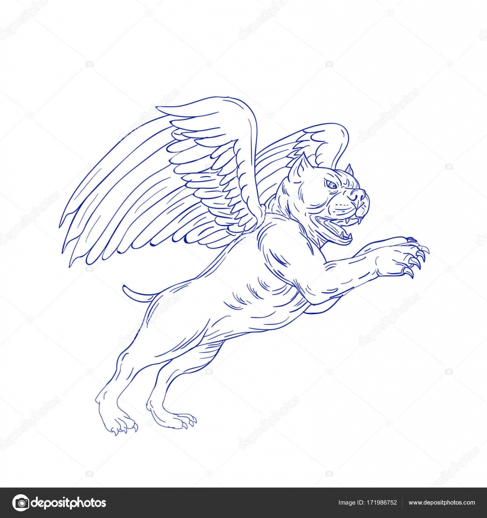 American Bully Drawing American Bully With Wings Drawing Stock