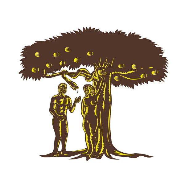 Adamo ed Eva mela Serpente Woodcut — Vettoriale Stock