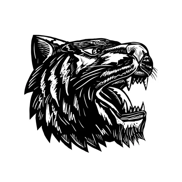 Grognement Tigre Woodcut Noir et Blanc — Image vectorielle