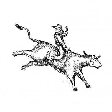Boğa Rodeo kovboy çizim sürme