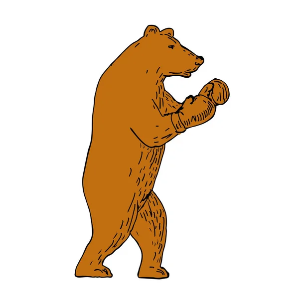 Brown Bear Boxing Stance Drawing — Stock Vector