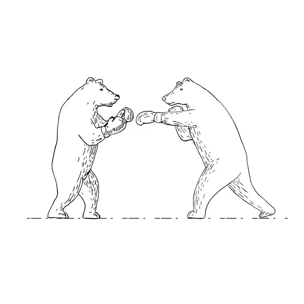 Two Grizzly Bear Boxers Boxing Drawing — Stock Vector