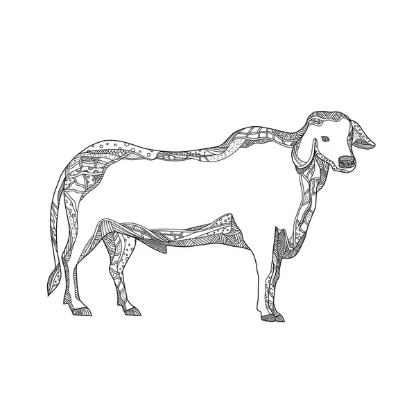 Brahman Bull sebe Doodle — Stockový vektor