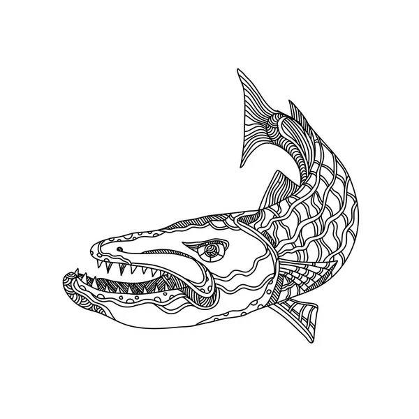 Arte del Doodle de peces del Barracuda — Vector de stock