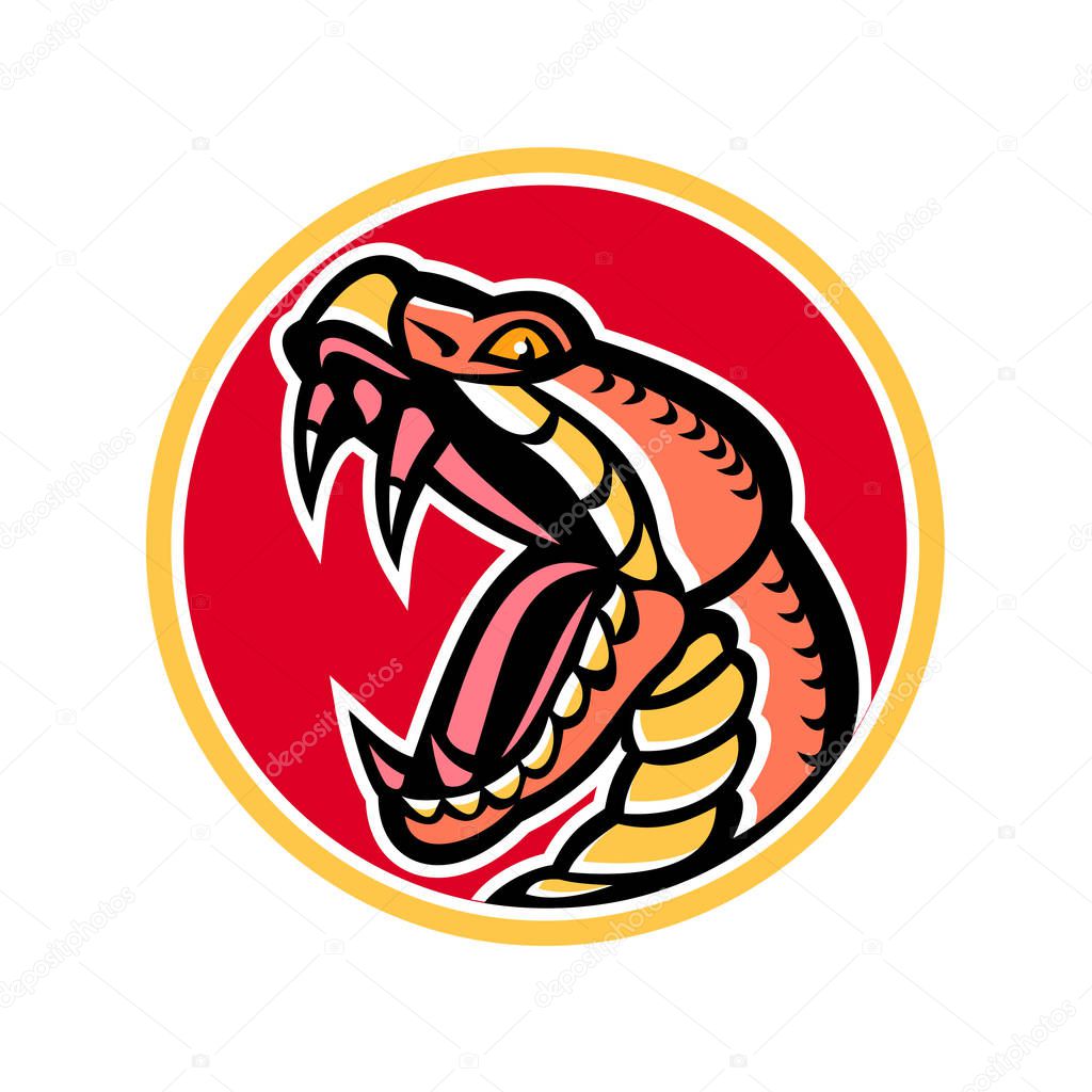 Copperhead Snake Mascot