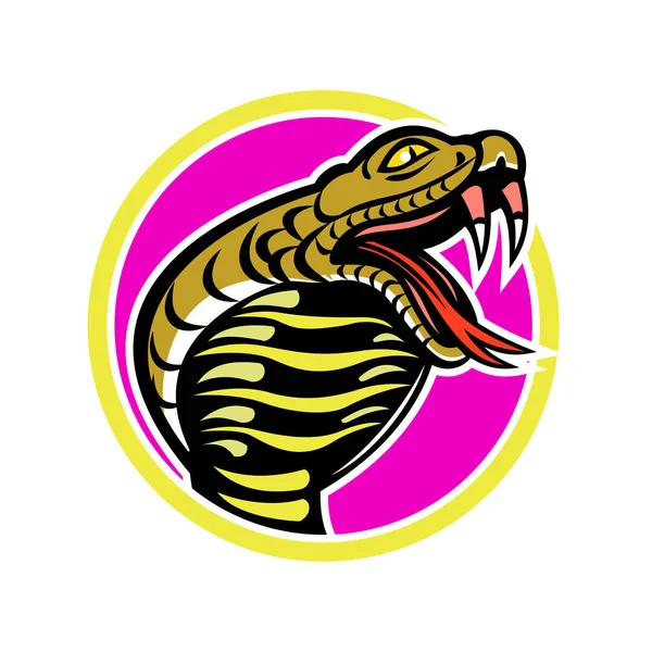 Mascotte del serpente del re Cobra — Vettoriale Stock