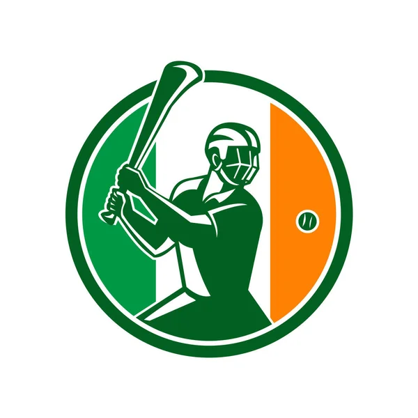 Hurling Ierland vlagpictogram — Stockvector