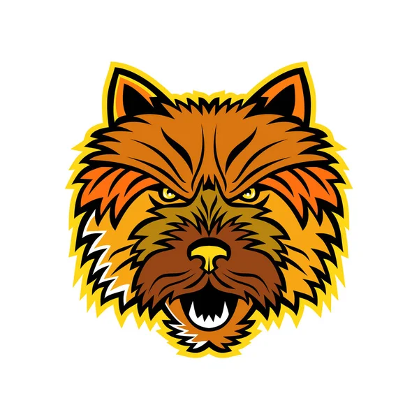 Norwich Terrier Mascot Front — Stock Vector