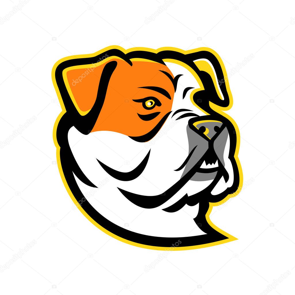 Mascot icon illustration of head of a bully type American Bulldog, a breed of utility dog viewed from side on isolated background in retro style.