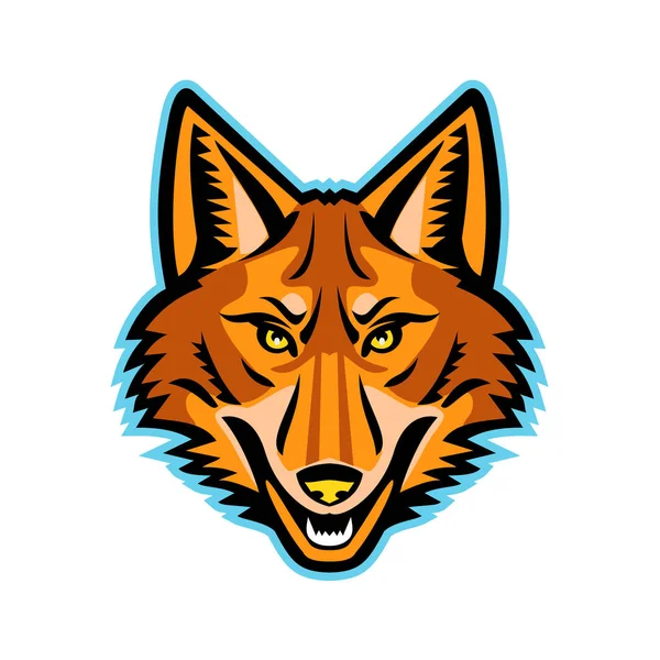Coyote Head Front Mascot — Stock Vector