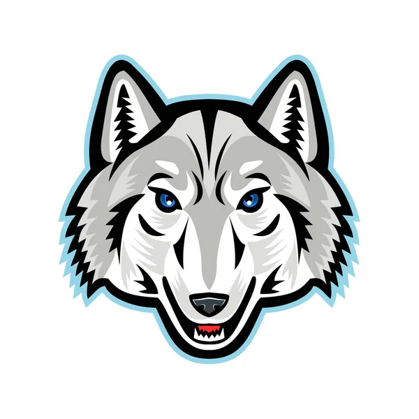 Artic Wolf hoofd Front mascotte — Stockvector