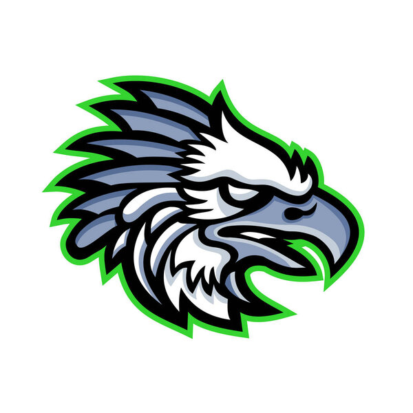  American Harpy Eagle Mascot