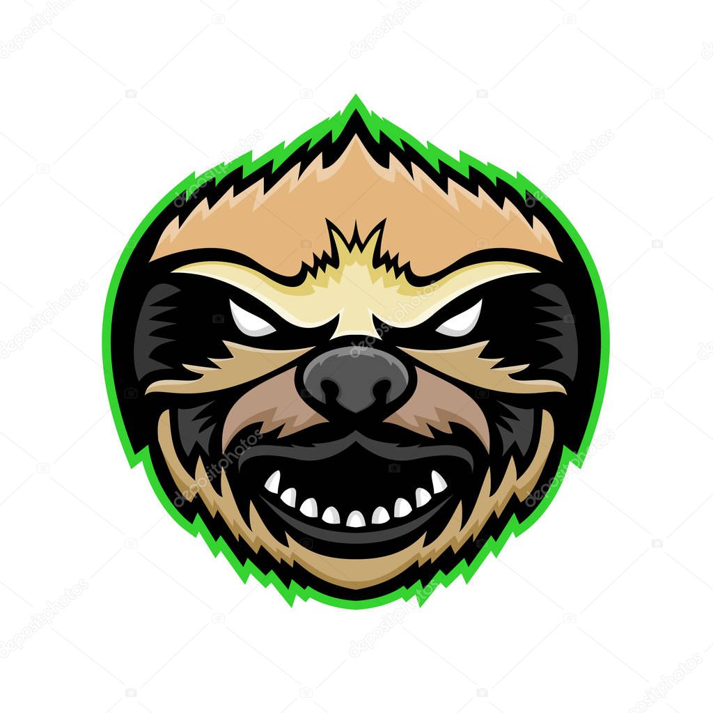 Mascot icon illustration of head of an angry Sloth, an arboreal mammal in the tropical rainforests of South America and Central America viewed from front on isolated background in retro style.