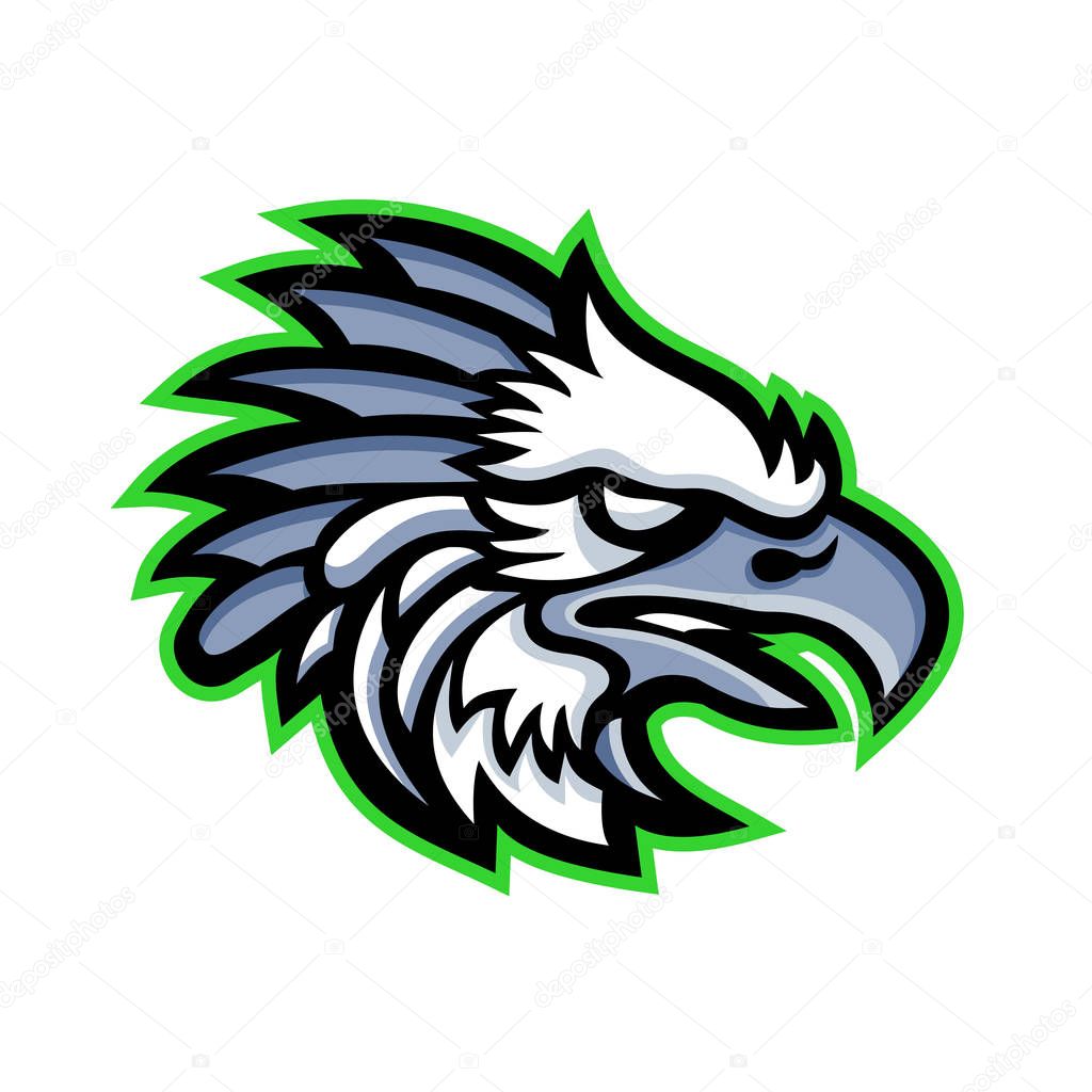  American Harpy Eagle Mascot