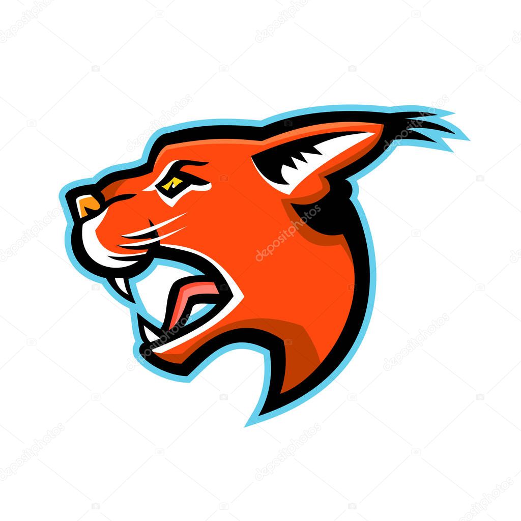 Sports mascot illustration of head of caracal, a medium-sized wild cat native to Africa with short face, long tufted ears, and long canine teeth viewed from side on isolated background in retro style.