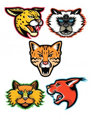 Wild and Domestic Cats Collection Series clipart