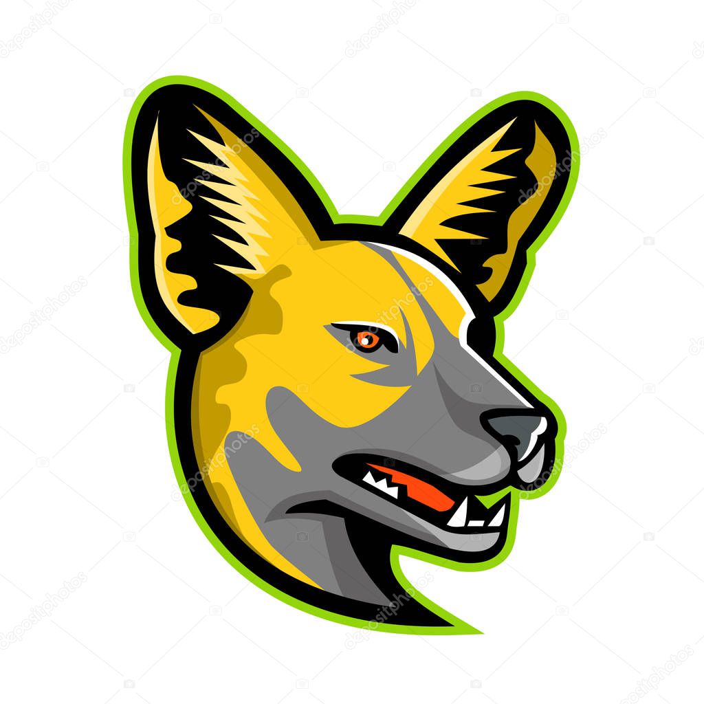 Sports mascot icon illustration of head of an African wild dog, African hunting dog, African painted dog, painted hunting dog, or painted wolf, a canid native to Sub-Saharan Africa, viewed from sided
