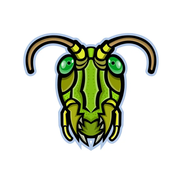 Grasshopper Head Mascot — Stock Vector