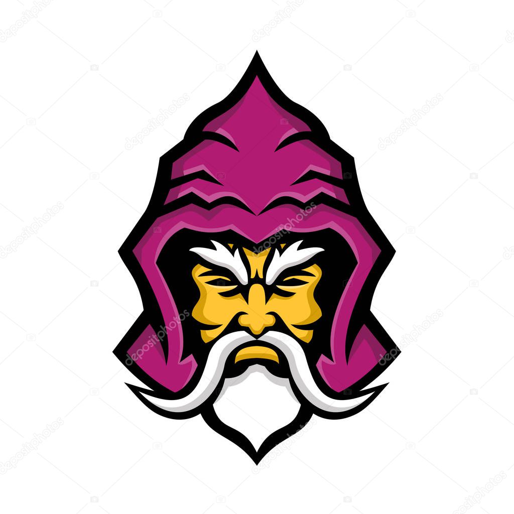 Wizard Head Front Mascot