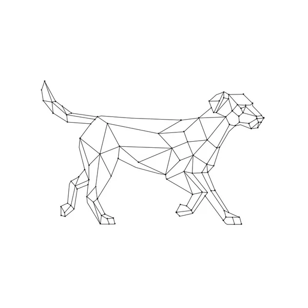 ラブラドールレトリバーの低ポリゴンワイヤーフレームラインアートスタイルのイラスト 黒と白で行われた隔離された白の背景に側面から見える中規模品種のレトリバーガン犬 — ストックベクタ