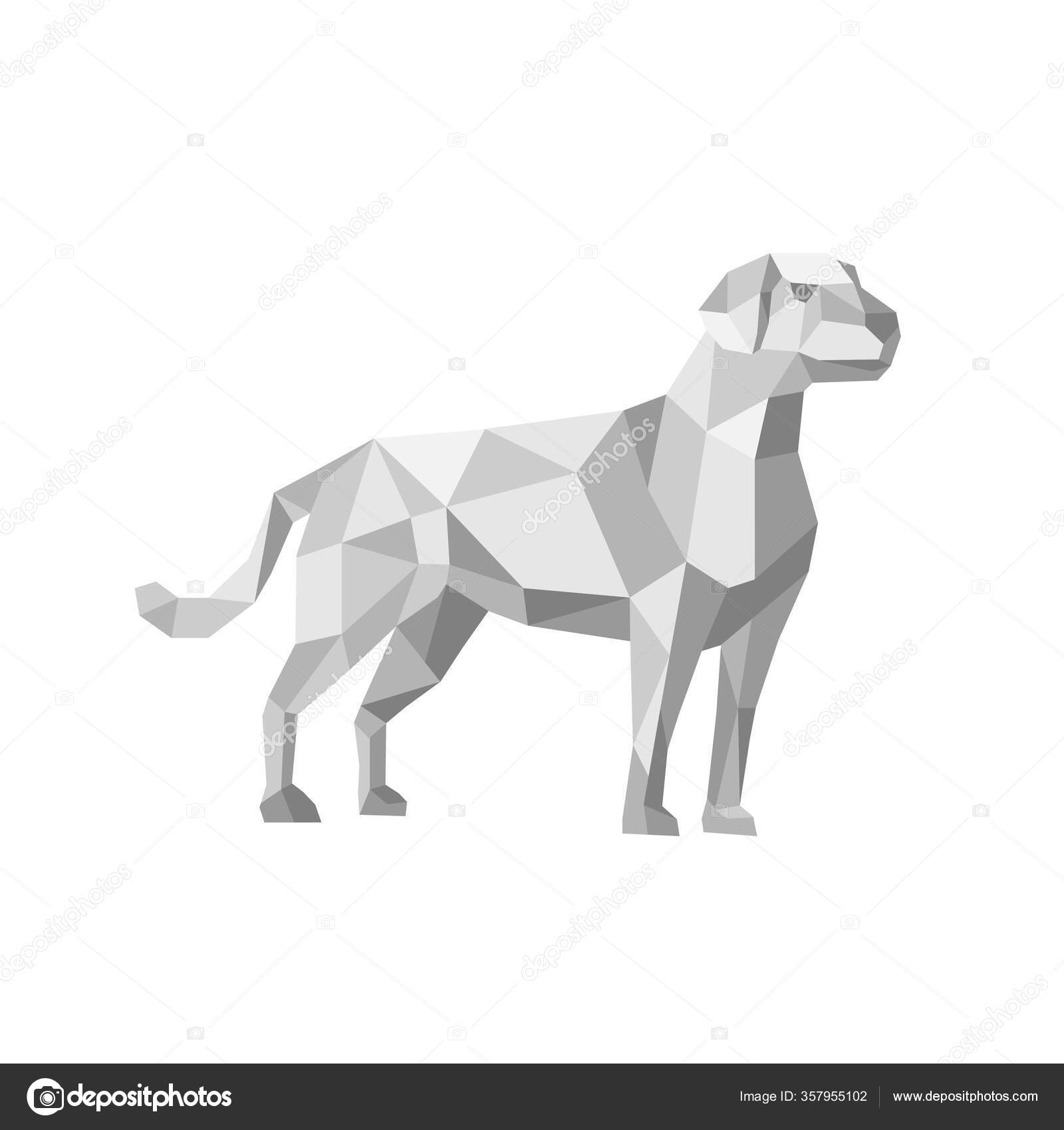 large breed labrador