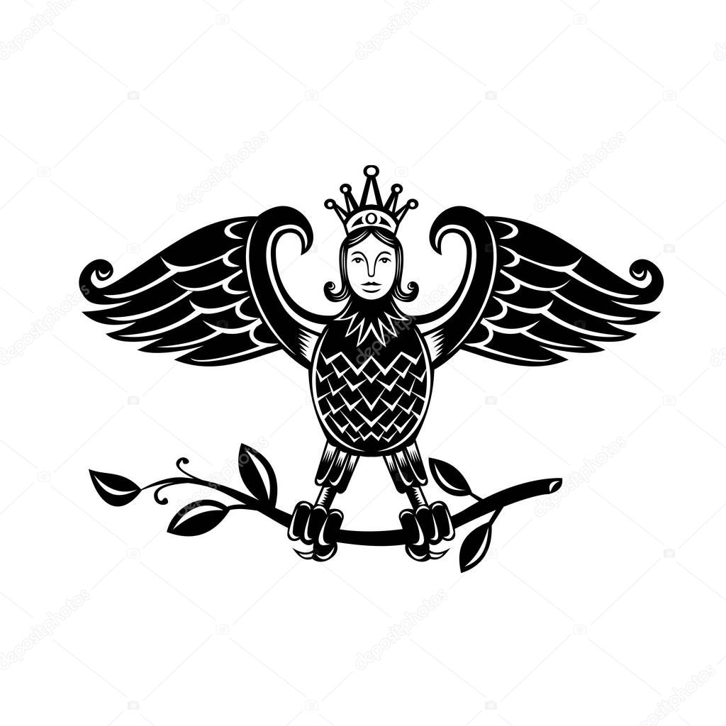 Retro style illustration of a harpy, a half-human and half-bird personification of storm winds depicted as bird with head of a maiden, perch on branch on isolated background in black and white.
