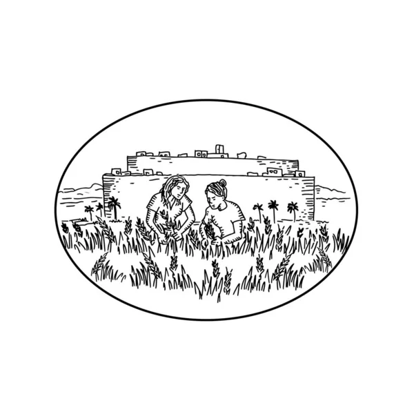 Εικονογράφηση Ρετρό Στυλ Δύο Γυναικών Συλλογή Συγκομιδή Σιταριού Αγρόκτημα Έξω — Διανυσματικό Αρχείο