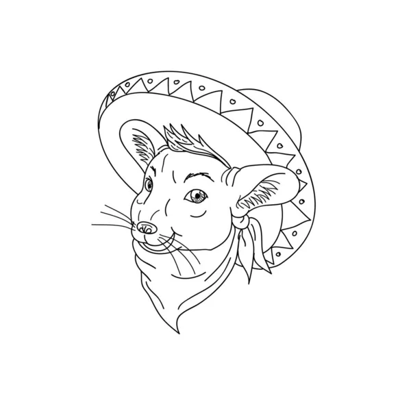 Ilustración Estilo Caricatura Una Chinchilla Mexicana Con Sombrero Bandana Sobre — Vector de stock