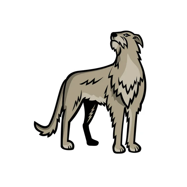 苏格兰猎狗或猎狗的运动吉祥物图标 猎狗是为猎杀红鹿而饲养的一种大型猎犬 背景孤立 风格复古 — 图库矢量图片