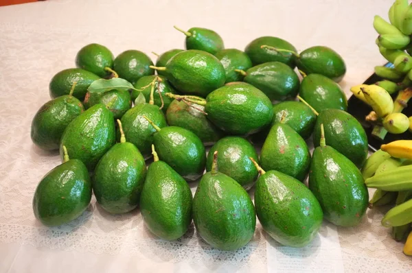 Foto Van Een Choquette Avocado Een Vernoemde Commerciële Avocado Cultivar — Stockfoto