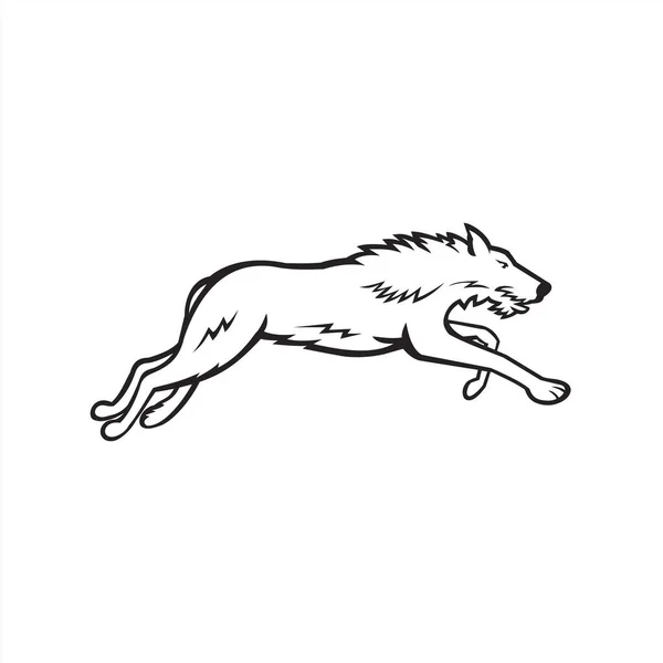 苏格兰猎狗或猎狗的运动吉祥物图标 猎狗是为猎鹿而饲养的一种大型猎犬 背景孤立 背景为黑白复古风格 — 图库矢量图片