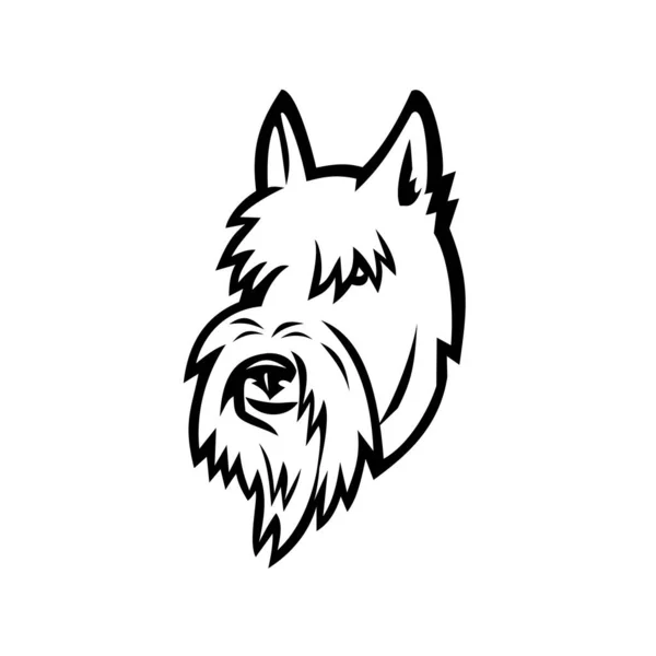Ikona Maskotki Sportowej Ilustracja Głowy Szkockiego Terrier Aberdeen Terrier Lub — Wektor stockowy