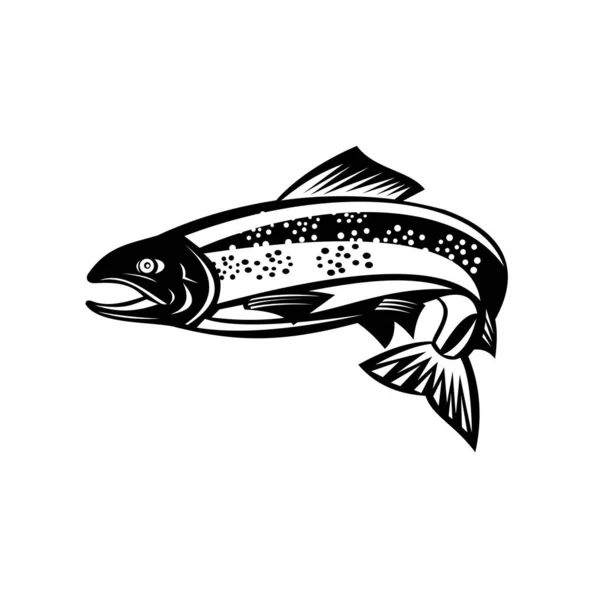 黑白相间的孤立背景下的一种褐色鳟鱼或斑点鳟鱼跳跃的复古木刻风格图解 — 图库矢量图片
