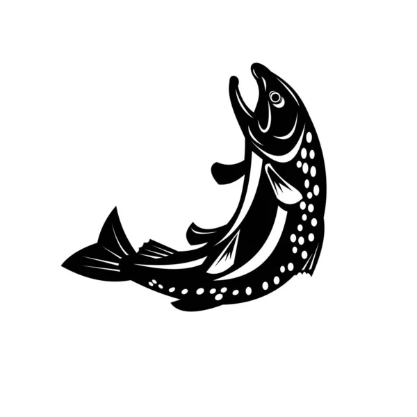 Retro Stil Illustration Spotted Eller Spräcklig Öring Fisk Hoppar Isolerad — Stock vektor