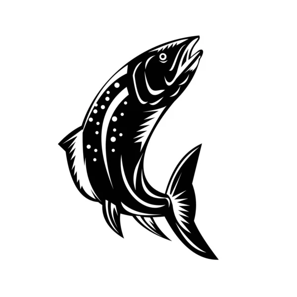 Retro Träsnitt Stil Illustration Spotted Trout Fish Jumping Isolerad Bakgrund — Stock vektor