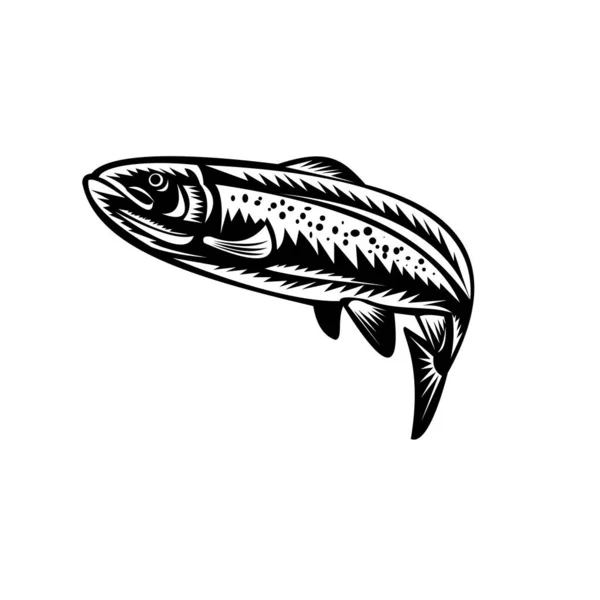 Illustrazione Stile Xilografia Retrò Pesce Trota Maculato Che Salta Uno — Vettoriale Stock