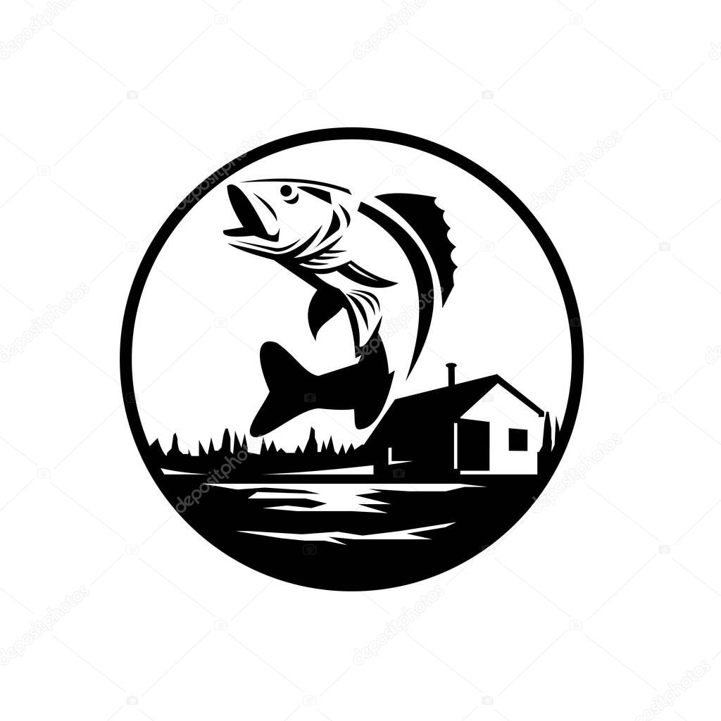 Black and White Illustration of a Walleye (Sander vitreus, formerly Stizostedion vitreum), a freshwater perciform fish jumping with lake and cabin in the woods set in circle done in retro style. 