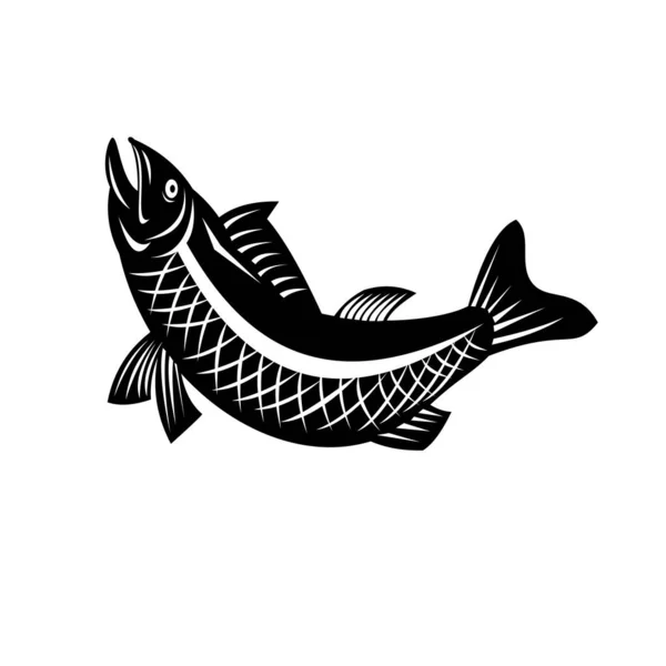 Illustration Rétro Style Noir Blanc Poisson Truite Sautant Côté Sur — Image vectorielle