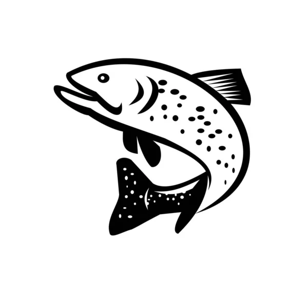 Illustration Brook Trout Brook Char Species Fresh Water Fish Char — стоковий вектор