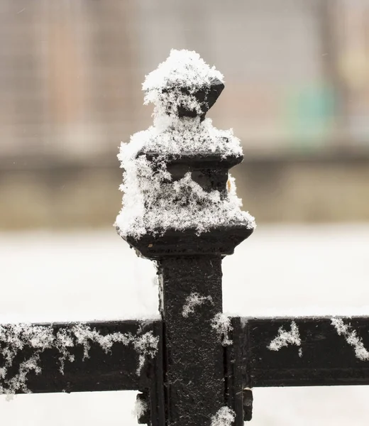 Schnee am Zaun — Stockfoto
