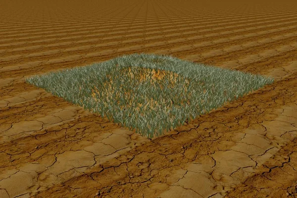 Grasscholle in der Wüste — Stockfoto