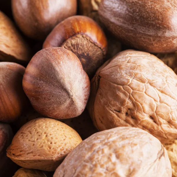 Ořechy z několika typů — Stock fotografie
