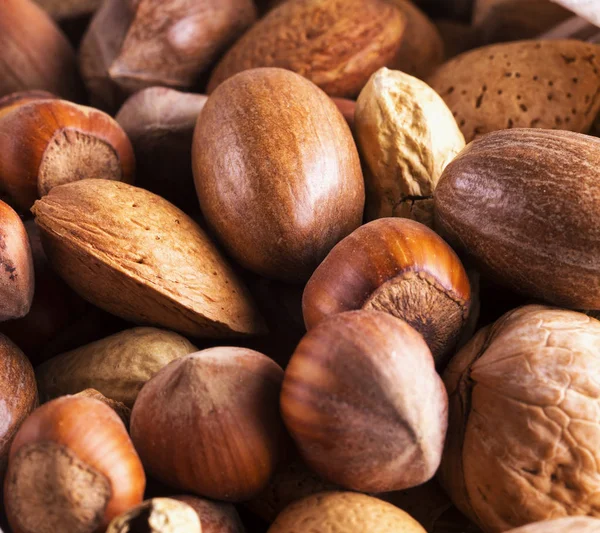Ořechy z několika typů — Stock fotografie
