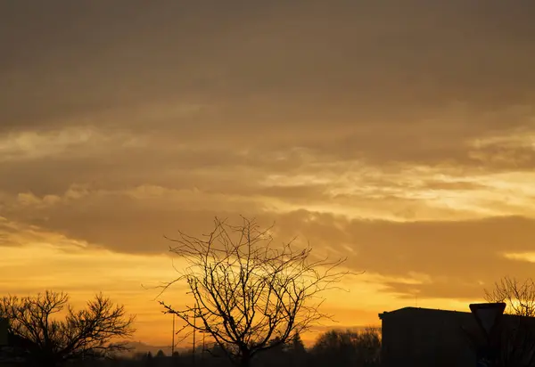Pôr do sol dourado sobre silhuetas de árvores e casas — Fotografia de Stock