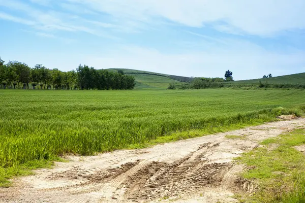 Veld en heuvels — Stockfoto