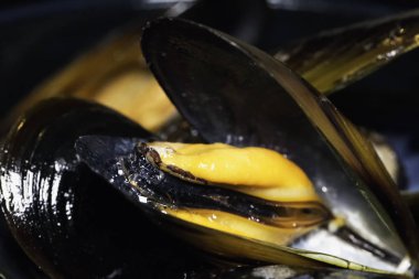 Midye sıkı içinde yakın çekim