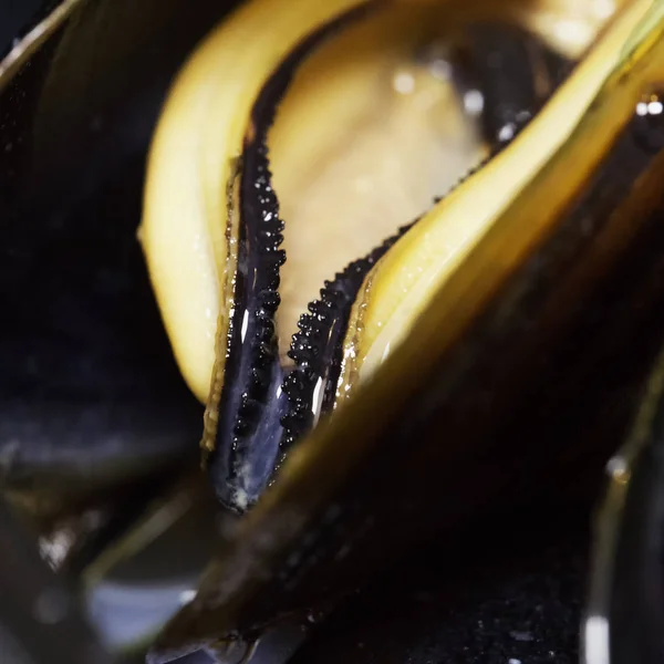 Mussels in strict close up — Stock Photo, Image