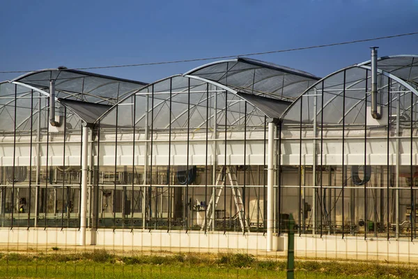 Gewächshaus unter blauem Himmel — Stockfoto