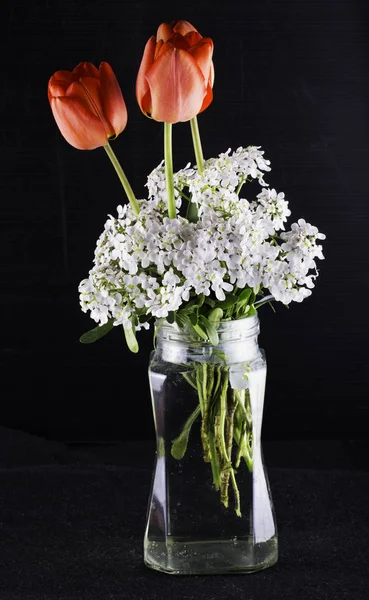 Червоні тюльпани у вазі — стокове фото